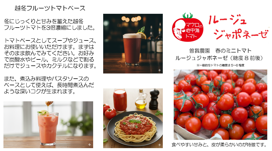 販売終了】2月のお野菜セット【ミニトマト、みさきキャベツなど