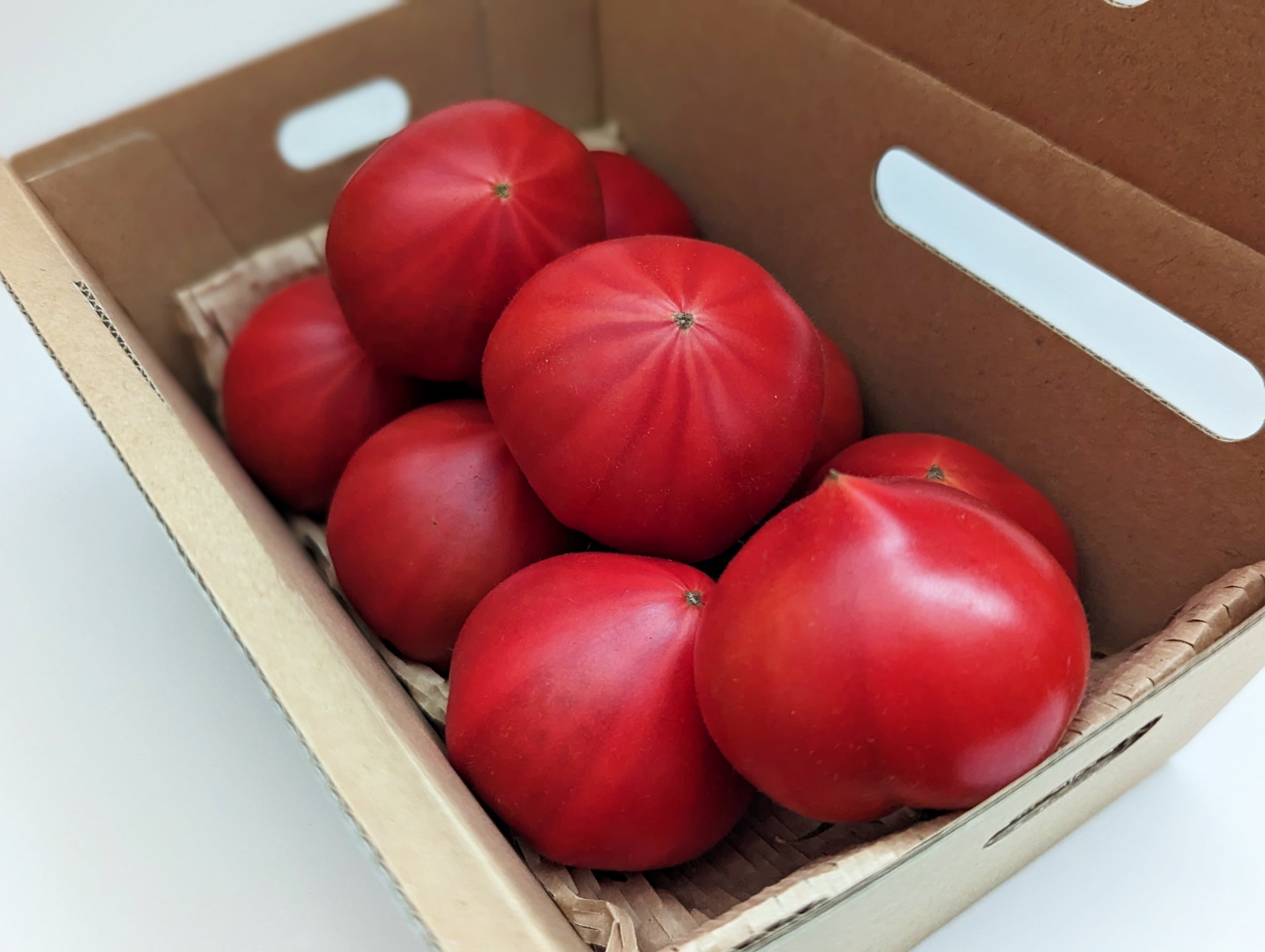越冬フルーツトマト 小玉クラフトBOX