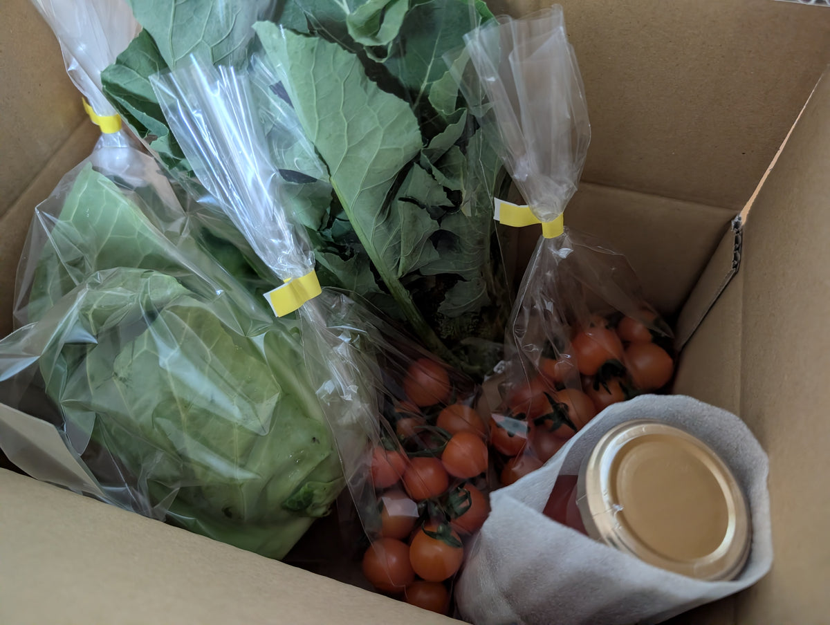 販売終了】2月のお野菜セット【ミニトマト、みさきキャベツなど
