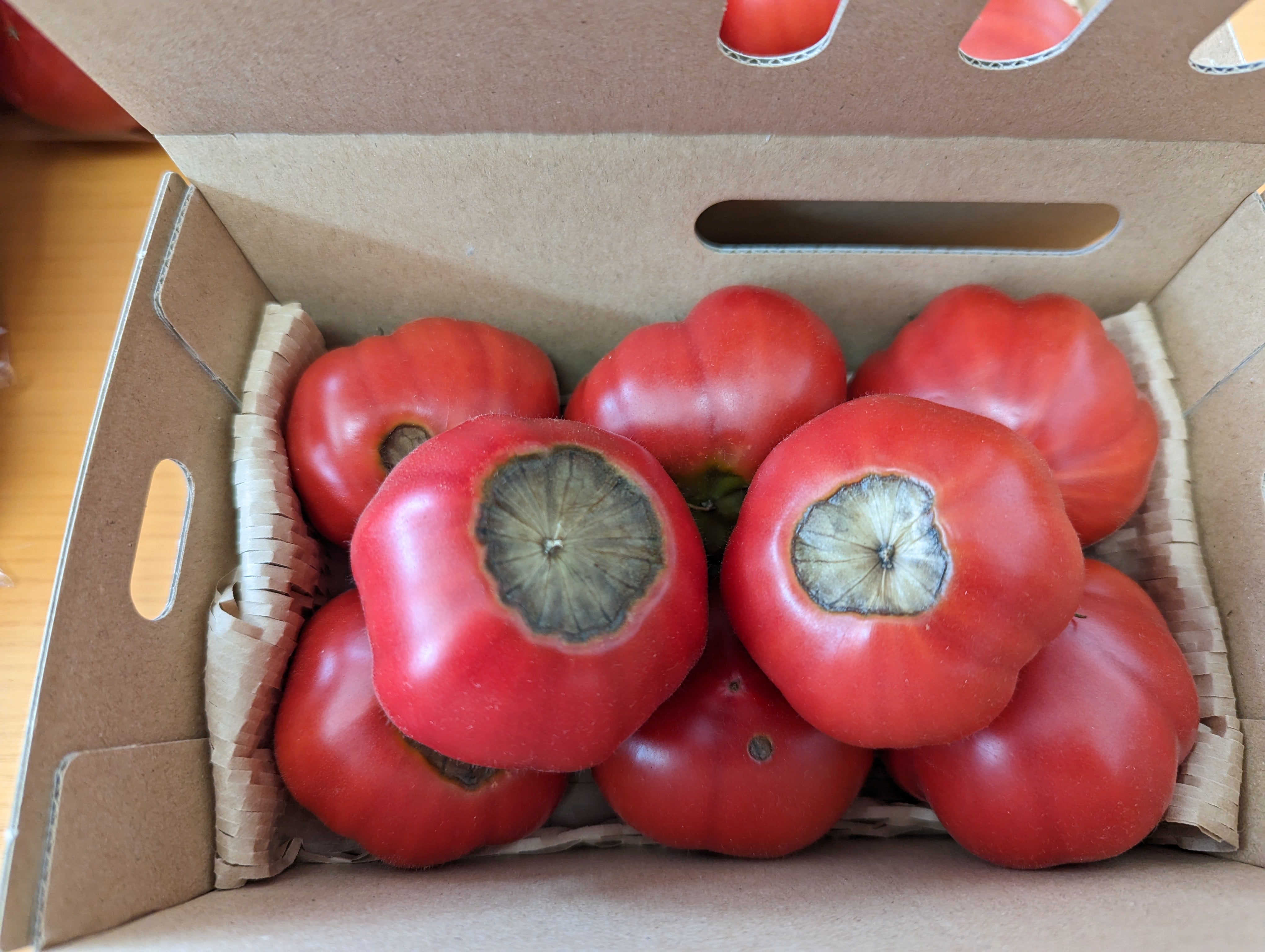 トマト。様 味が濃厚！！ 大人気のトマトです！！🍅 試食もしてますのでぜひ