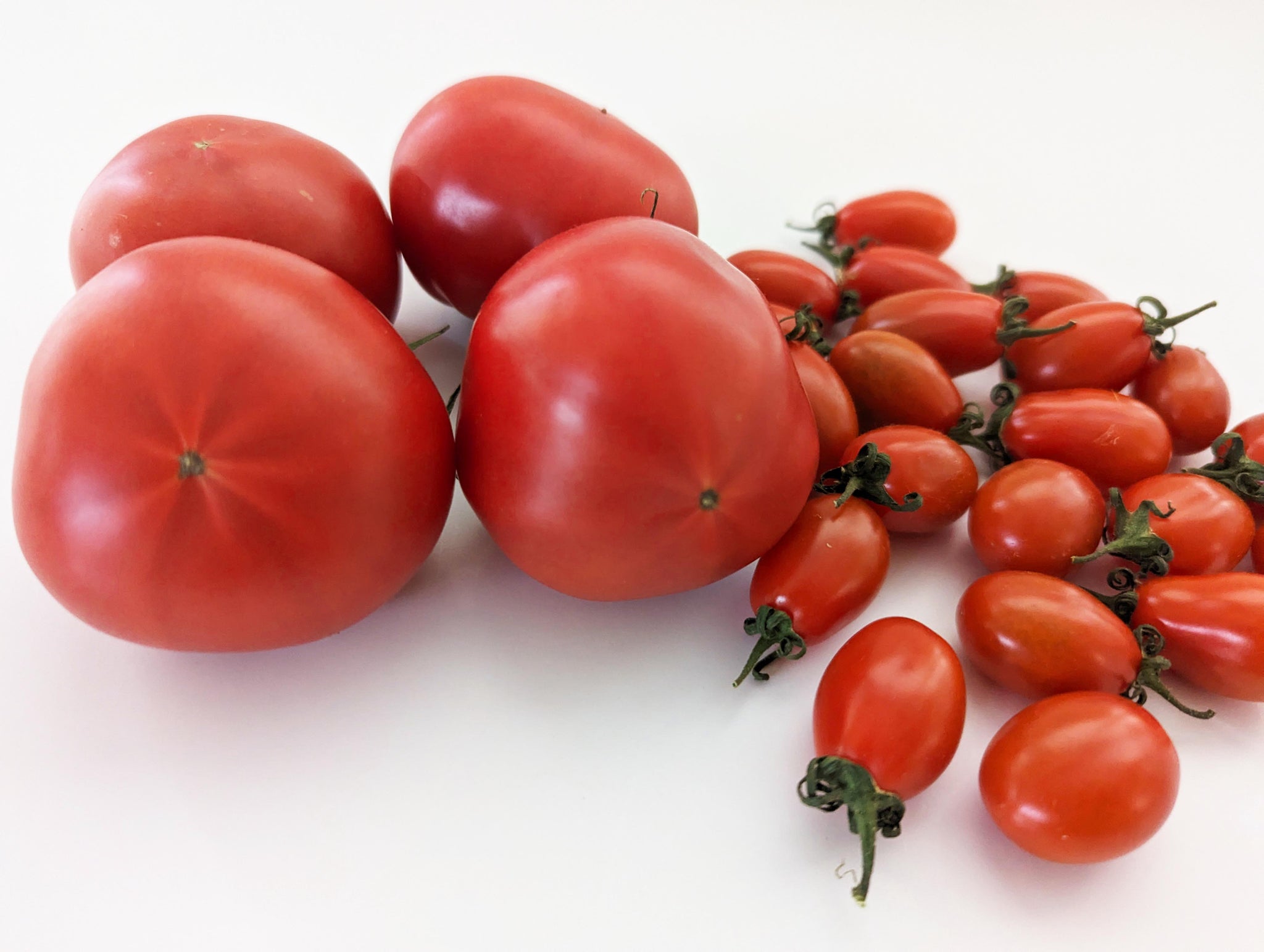 【3月中旬まで】春トマト2種詰め合わせ