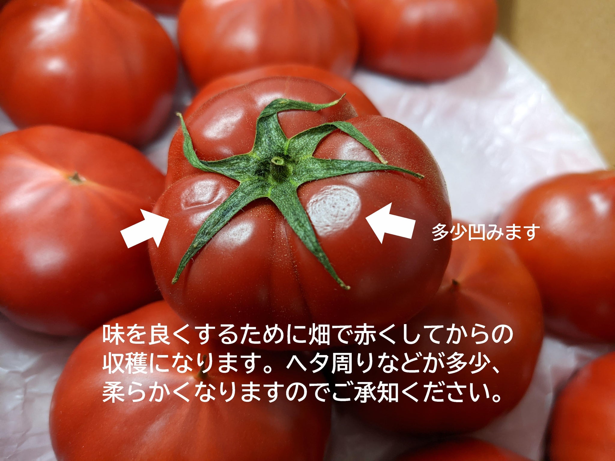 闇落ちとまとクラフトBOX